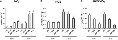 Intrinsic Mechanisms Underlying Hypoxia-Tolerant Mitochondrial Phenotype During Hypoxia-Reoxygenation Stress in a Marine Facultative Anaerobe, the Blue Mussel Mytilus edulis